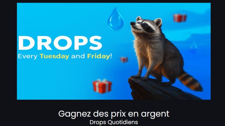 Stupid Casino bonus quotidien