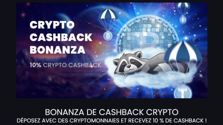Stupid Casino cashback Crypto