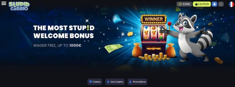 Stupid Casino page accueil
